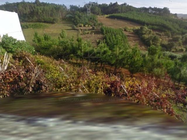Terreno venda em Leiria