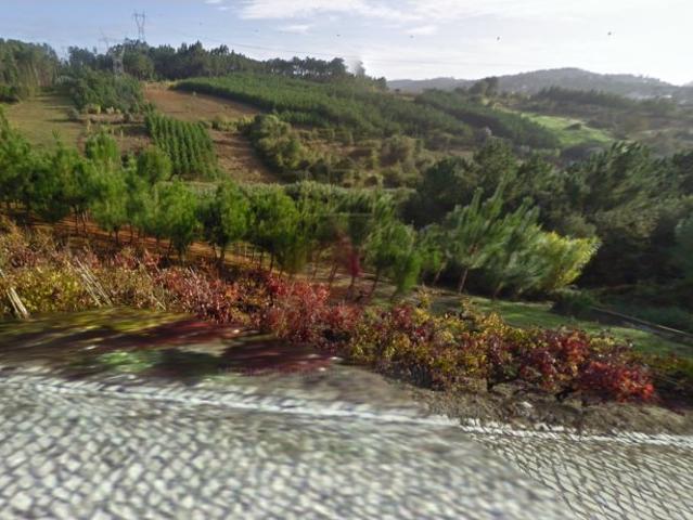 Terreno venda em Leiria