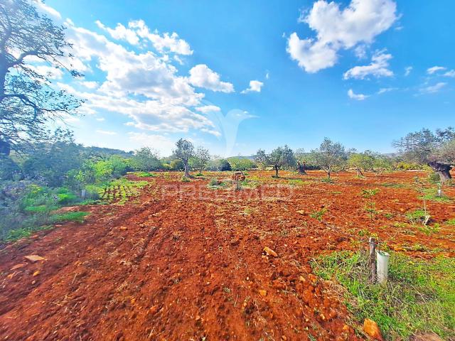 Terreno venda em Loulé, Faro