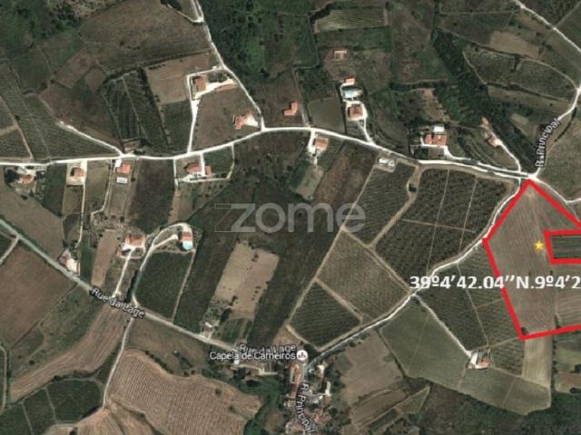 Terreno venda em Palaios, Alenquer