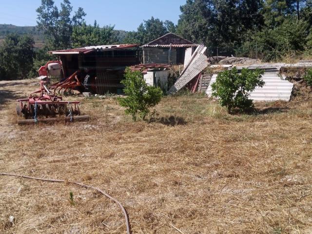 Terreno venda em Castelo Branco, Maçaínhas