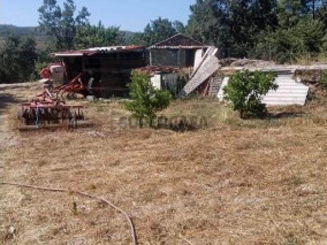 Terreno venda em Castelo Branco, Maçaínhas