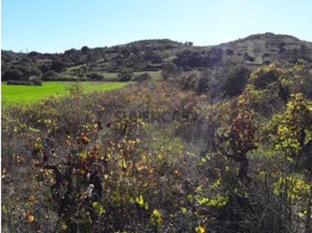 Terreno venda em Azambuja, Lisboa