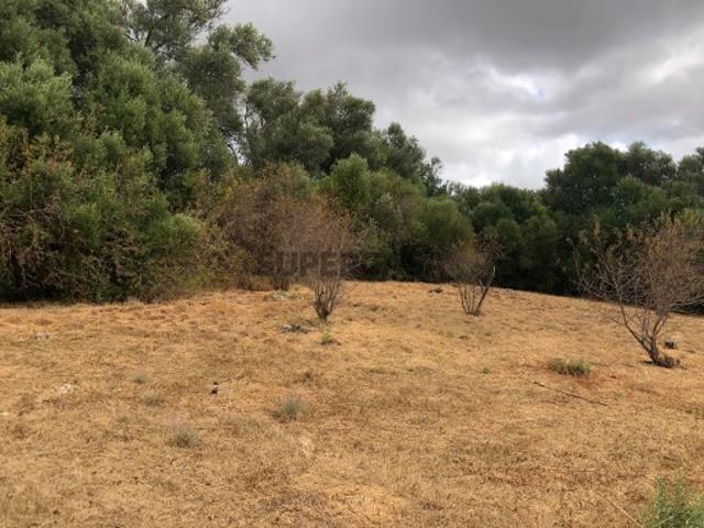 Terreno venda em Loulé, Faro