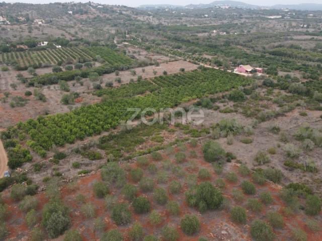 Terreno venda em São Bartolomeu De Messines, Faro