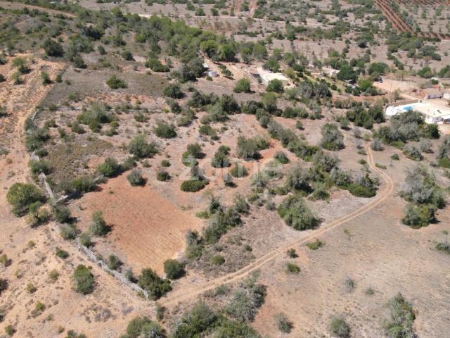 Terreno venda em São Bartolomeu De Messines, Faro