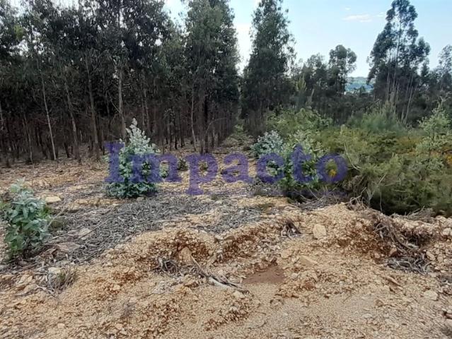 Terreno venda em Gaiate, Santa Maria Da Feira