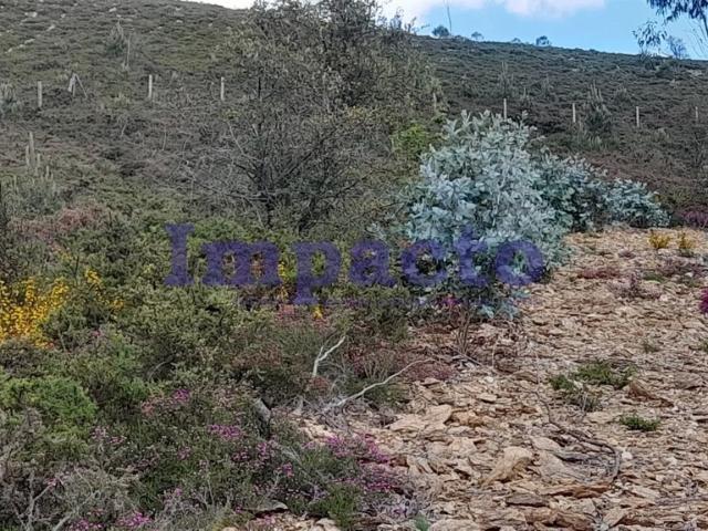 Terreno venda em Santa Maria Da Feira, Aveiro