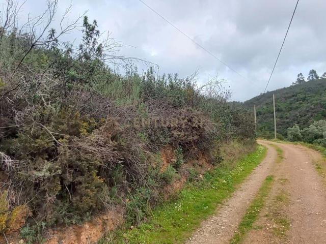 Terreno venda em Monchique, Faro