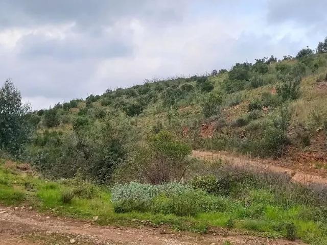 Terreno venda em Monchique, Faro
