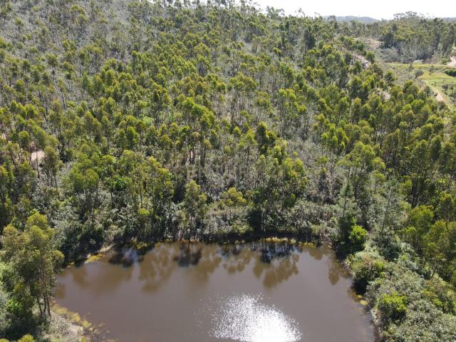 Terreno venda em Monchique, Faro