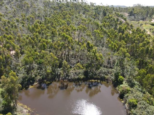 Terreno venda em Monchique, Faro
