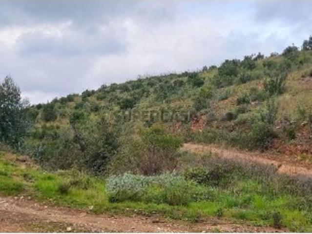 Terreno venda em Monchique, Faro