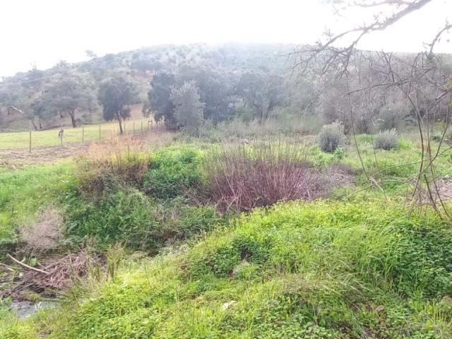 Terreno venda em Monchique, Faro