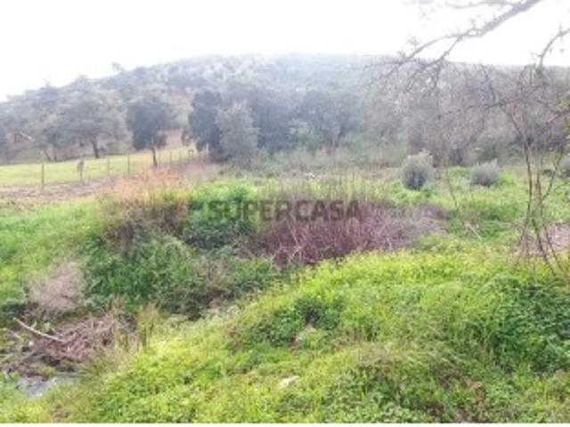 Terreno venda em Monchique, Faro