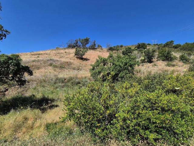 Terreno venda em Santa Catarina da Fonte do Bispo, Tavira