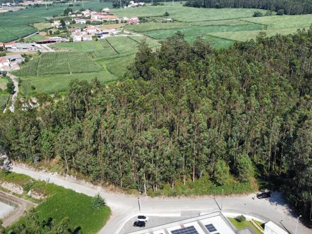 Terreno venda em Trofa, Porto