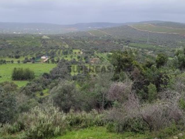 Terreno venda em Albufeira, Faro