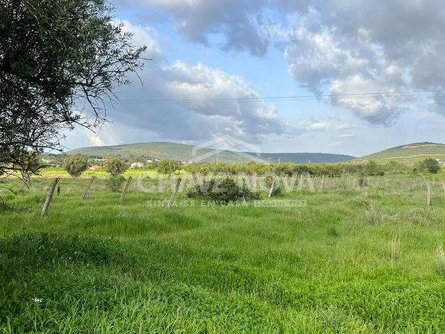Terreno venda em Faro