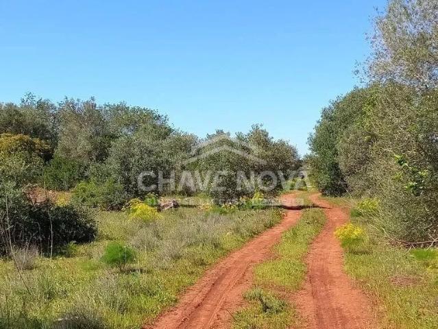 Terreno venda em Faro
