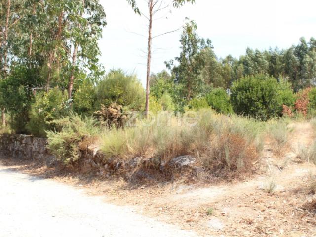 Terreno venda em Guarda, Seia