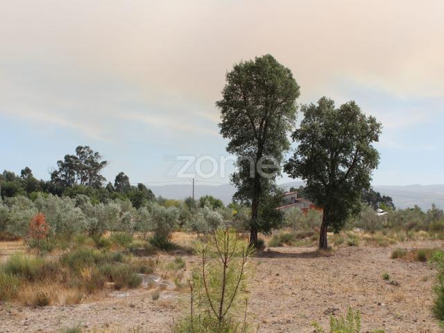Terreno venda em Guarda, Seia