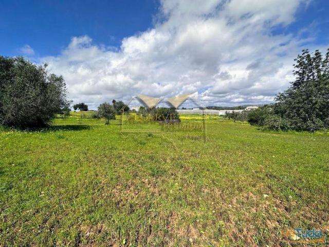 Terreno venda em Olhão, Faro