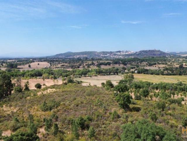 Terreno venda em Castelo Branco, Penamacor