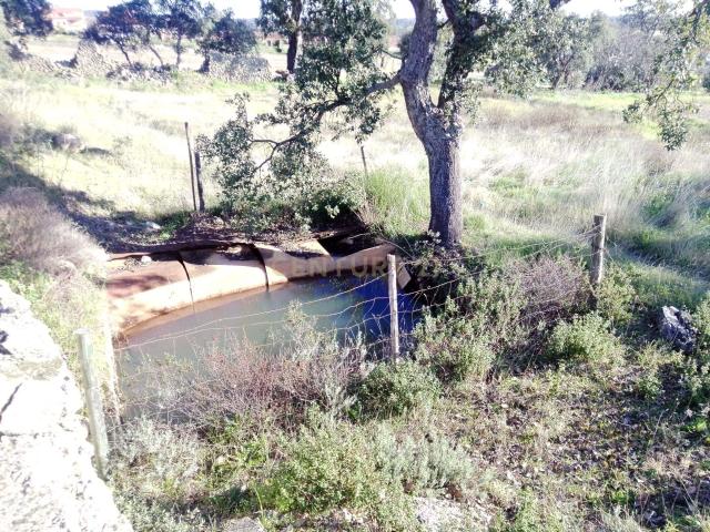 Terreno venda em Castelo Branco, Idanha-a-nova