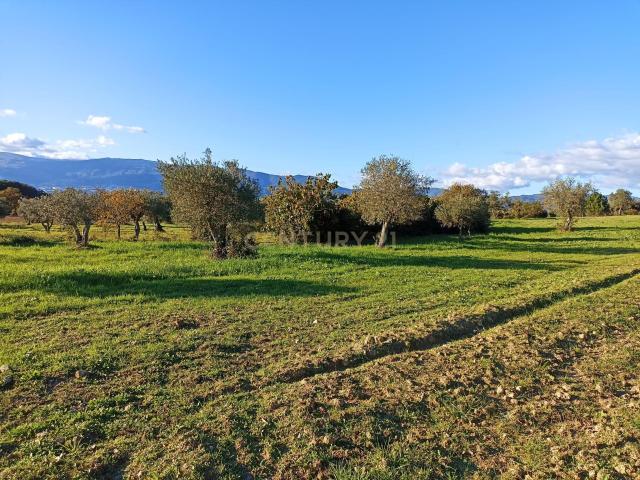 Terreno venda em Castelo Branco, Peraboa