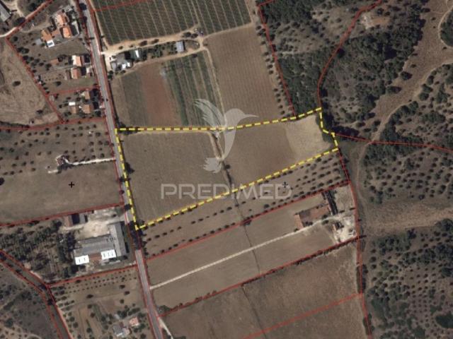 Terreno venda em Santarém