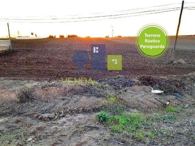 Terreno venda em Ferreira Do Alentejo, Beja