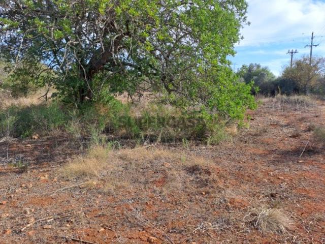 Terreno venda em São Bartolomeu De Messines, Faro