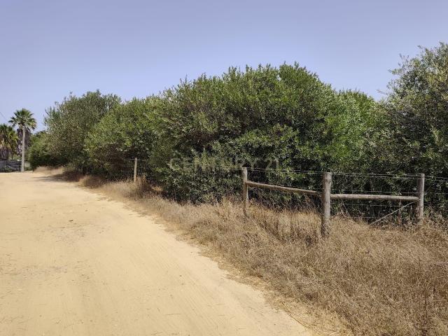 Terreno venda em Sines, Setúbal