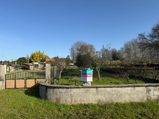 Terreno venda em Carregal Do Sal, Viseu