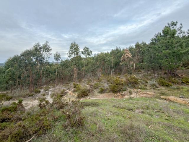 Terreno venda em Torres Vedras, Lisboa