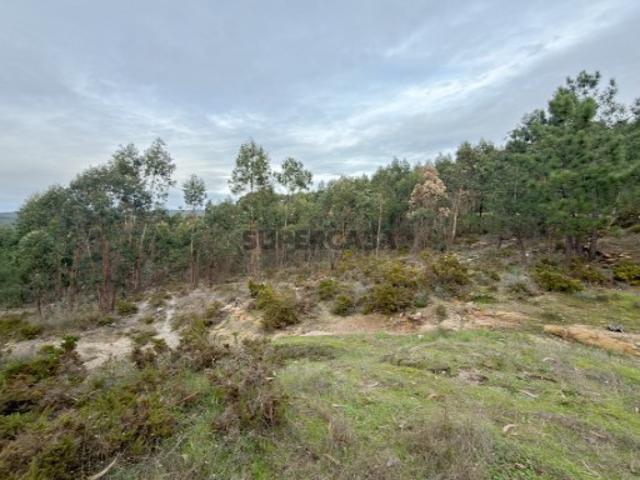 Terreno venda em Torres Vedras, Lisboa
