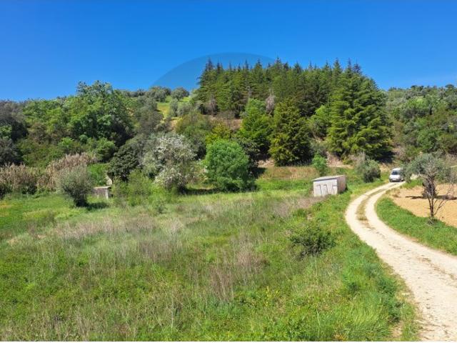 Terreno venda em Brogueira