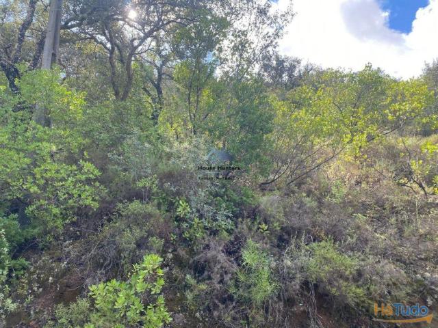 Terreno venda em Loulé, Faro