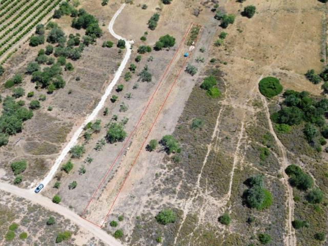 Terreno venda em Messines de Cima, São Bartolomeu De Messines