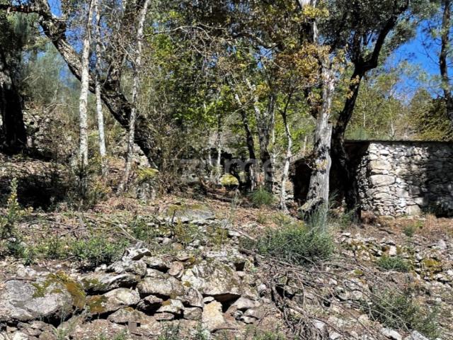 Terreno venda em Arcos De Valdevez, Viana Do Castelo