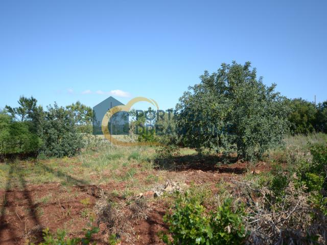 Terreno venda em Ribeirinho Meirinho, São Bartolomeu De Messines