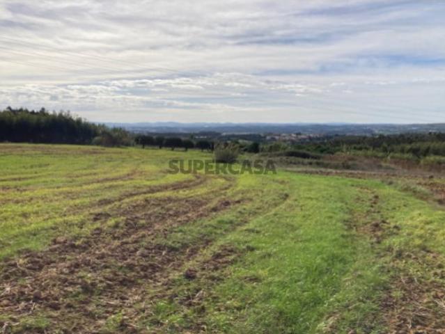 Terreno venda em Lourinhã, Lisboa