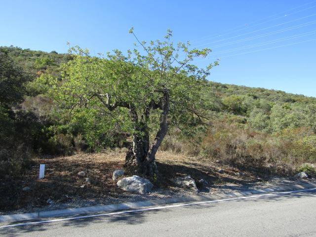 Terreno venda em São Brás De Alportel, Faro