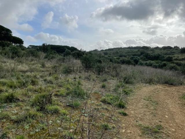 Terreno venda em Bolelas, Sintra
