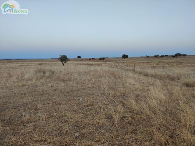 Terreno venda em Reguengos De Monsaraz, Évora