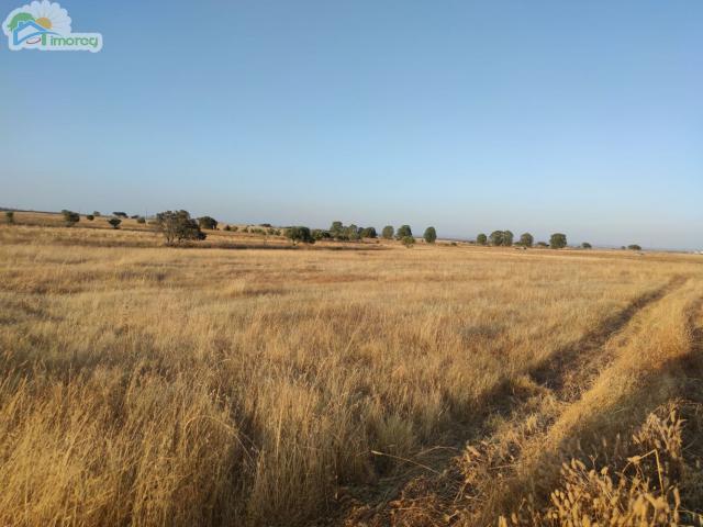 Terreno venda em São Marcos do Campo, Reguengos De Monsaraz