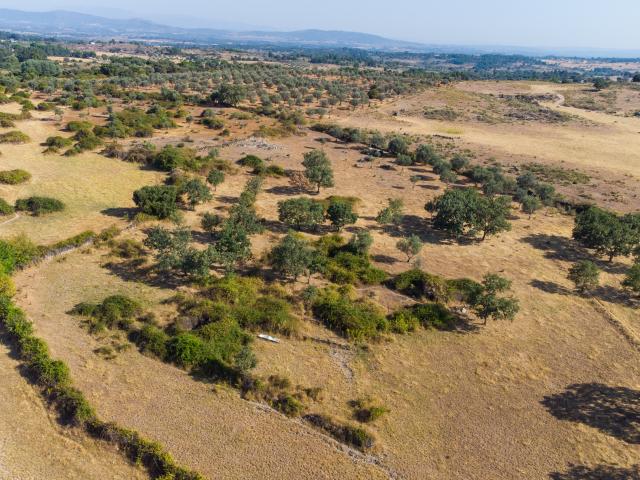 Terreno venda em Castelo Branco, Idanha-a-nova