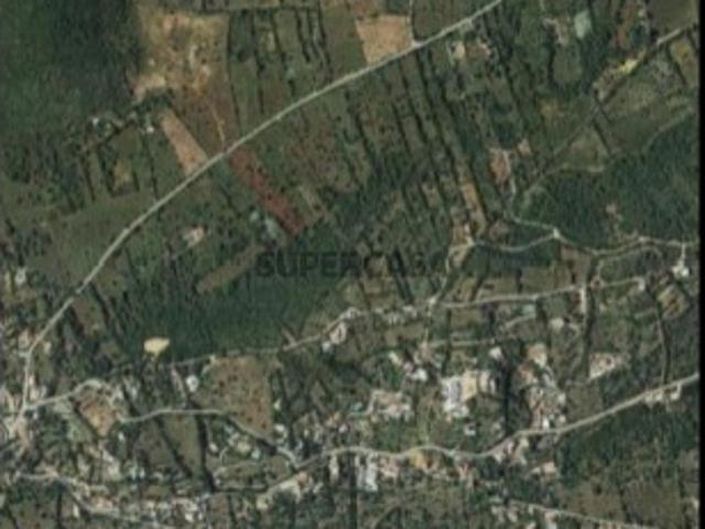 Terreno venda em São Brás De Alportel, Faro