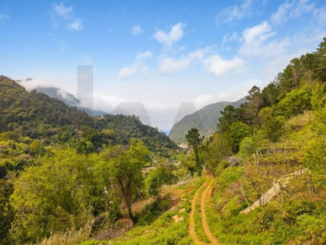 Terreno venda em São Vicente, Ilha Da Madeira
